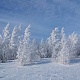 По деревьям серебристая перекинулась фата. Фото: Е.В.Софронов